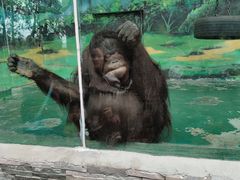 -泉州海丝野生动物世界