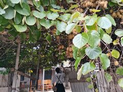 -清风小镇闯关东影视基地