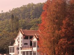 -深圳仙湖植物园