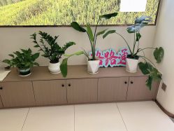 -头道汤头疗养生馆