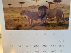 -好利来(朝外店)