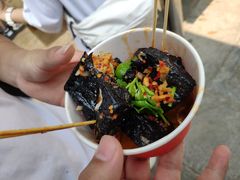 -黑色经典臭豆腐·湖南特产(坡子街店)