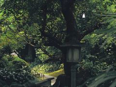 -广州兰圃