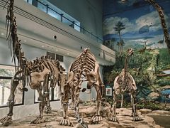 -自贡恐龙博物馆