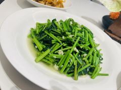 -四季春