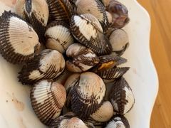 血蚶-胖大嫂渔家排档·全海景餐厅(渔村店)