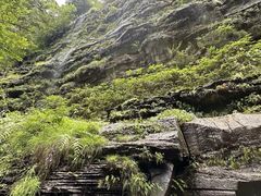 -碧峰峡风景区