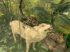 -下渚湖国家湿地公园科普馆