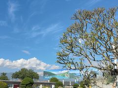 -德宏芒市国际机场