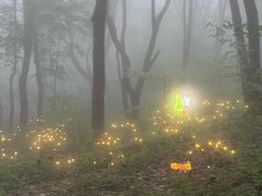-五女山景区