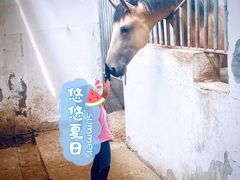 -月河湾马术俱乐部(朝阳店)