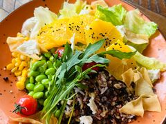 -良木缘咖啡西餐(川大店)