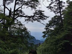 -明升萝卜汤
