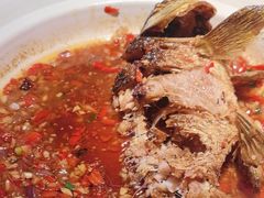 -费大厨辣椒炒肉(新城吾悦广场店)