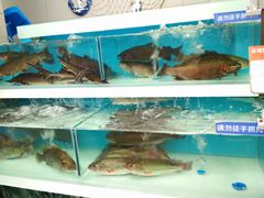 -盒马鲜生(大成店)