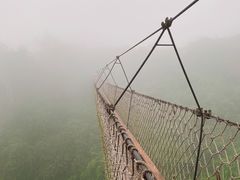 -三亚亚龙湾人间天堂鸟巢度假村