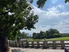 -MAP CHA普洱茶馆(翠湖店)