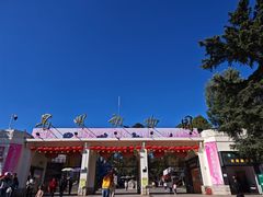 -昆明动物园