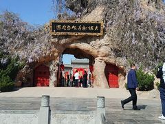 -大槐树寻根祭祖园