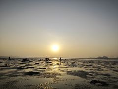 -北海金海湾红树林生态旅游区