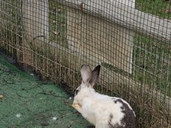 -嬉乐湾休闲旅游区
