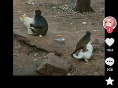 -昆明动物园