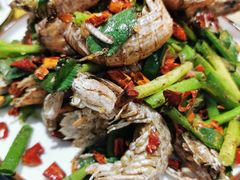 椒盐皮皮虾-金龙·打边炉(武进路店)