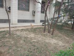 -山东大学(千佛山校区)