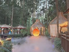 -二荆条·蜀鲜汇城市森林火锅