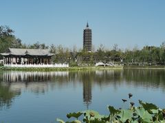 -西海子公园