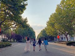 -东华大学(松江校区)