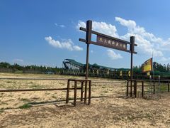 -泗洪洪泽湖湿地景区