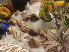 -初色海鲜自助(万丰路店)