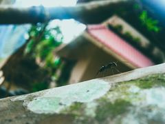 -维乐口腔医院(星海湾分院)