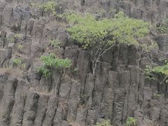-六合国家地质公园桂子山景区