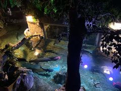 -鼓歌海鲜舫·手抓海鲜(大学城店)