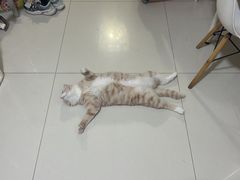 -管氏翅吧(望京东店)