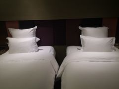 -南京禄口机场雅高铂尔曼大酒店