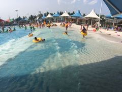 -呼兰河口湿地公园