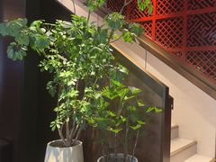 -喜湘宴·精致湖南菜(和平西桥店)