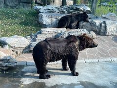 -北京野生动物园