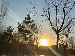 -早阳鲜包(云景里店)