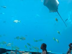 -瑞德姆美人鱼海底演艺主题餐厅(亚龙湾店)