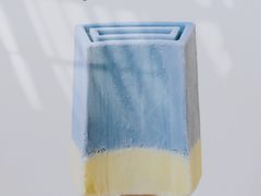 钟薛高冰蓝海盐椰-盒马鲜生(红莲店)