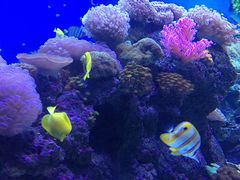 -成都浩海立方海洋公园