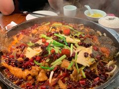 -老板恋上鱼(振华商厦店)