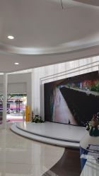 -广州美莱医疗美容医院