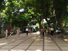 景点-晓港公园
