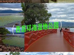 -西昌邛海湿地