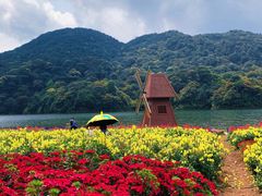 石门花海-广州市石门国家森林公园